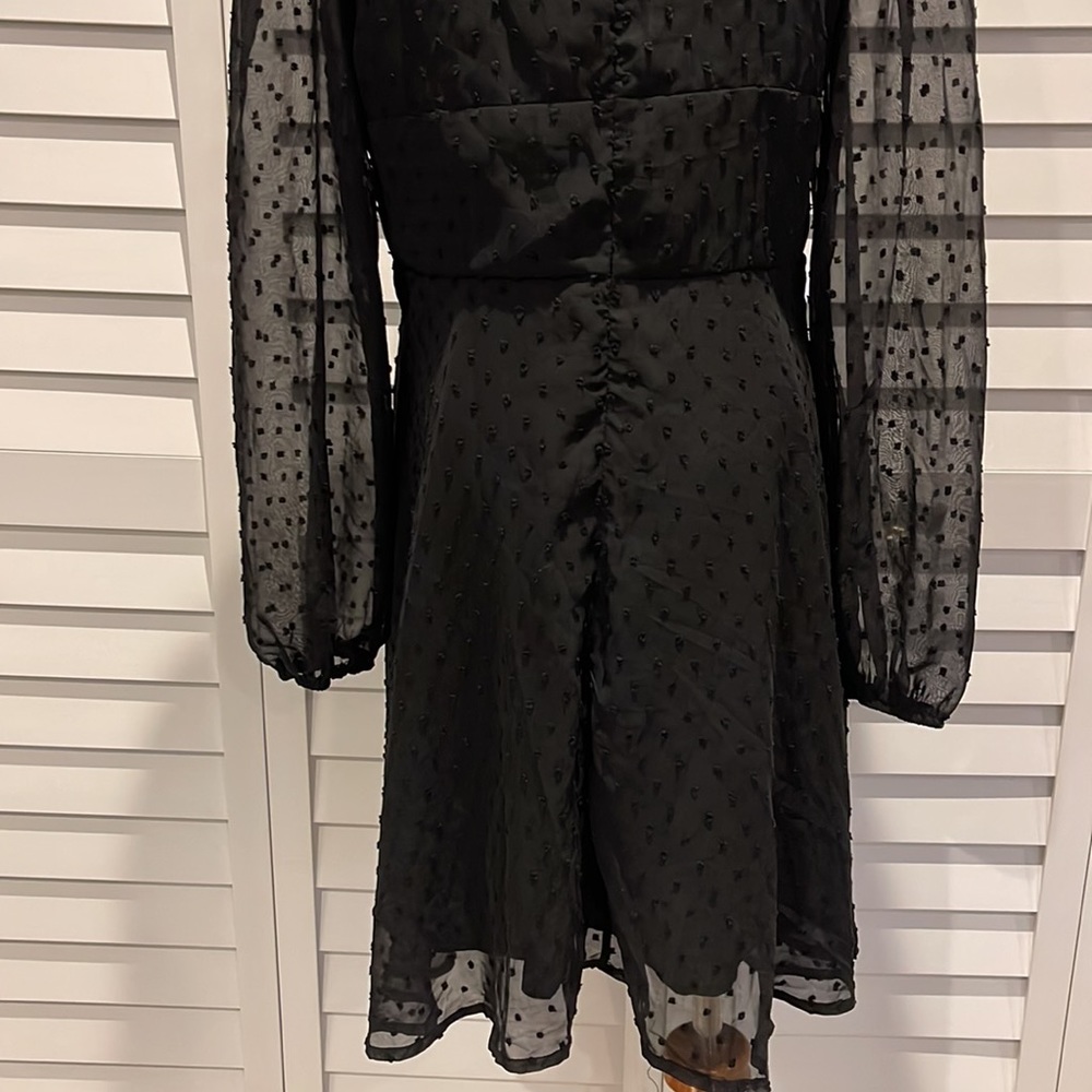 Lyaner Black gorgeous Dress in Swiss Dots Fabric. Long sheer Sleeves, lined. - Picture 8 of 8